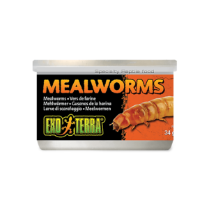 Exo Terra Mealworms - 34g