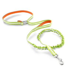 Florence By Mills Appleskin Crossbody Dog Lead in Orange & Green - One Size