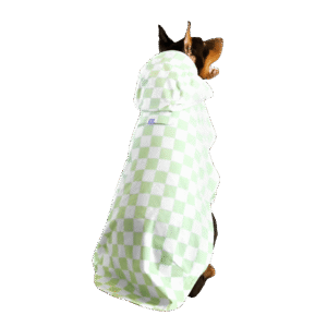 Florence By Mills Florence Dog Raincoat Green - XX Small