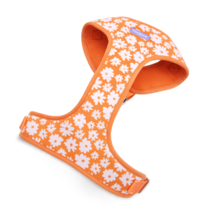 Florence By Mills Signature Print Dog Harness in Orange - Large/X Large