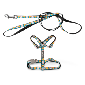 Fuzzyard Cheesy Hearts Cat Harness & Lead Walking Set - One Size