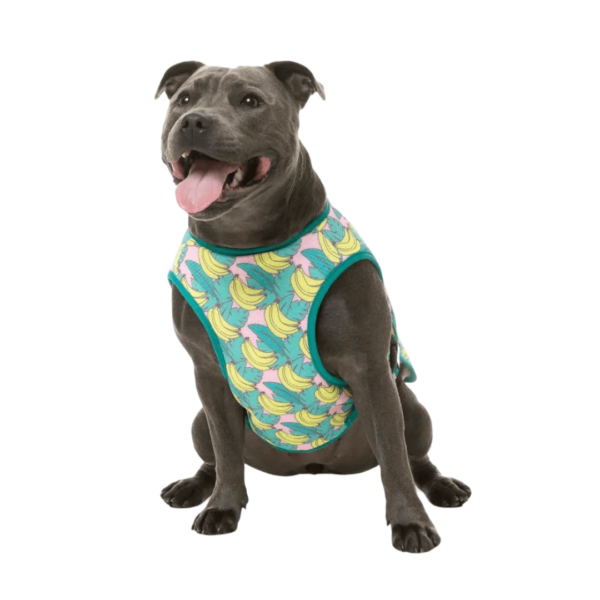 Fuzzyard Cooling Bananarama Dog Vest