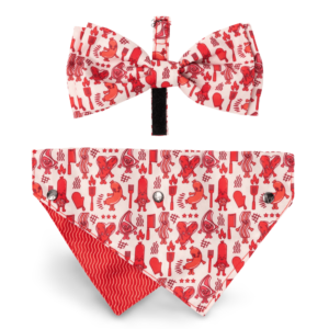 Fuzzyard Meat Heads Dog Bowtie And Bandana - large