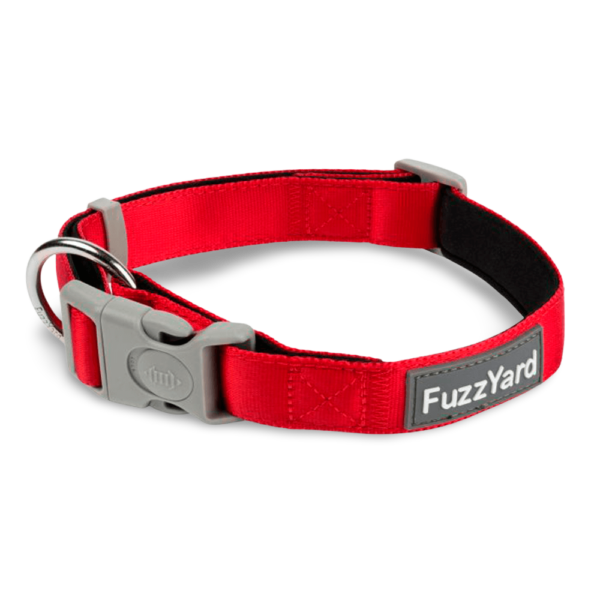 Fuzzyard Dog Collar in Rebel Red – Large