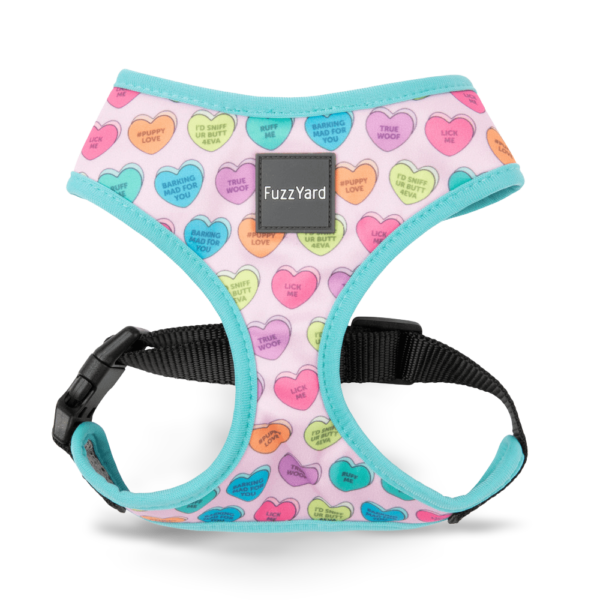 Fuzzyard Step-In Dog Harness in Candy Hearts