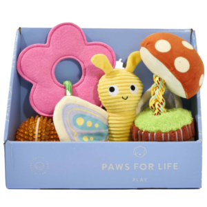 Paws For Life 4 Piece Gift Set Spring Garden Dog Toys - One Size