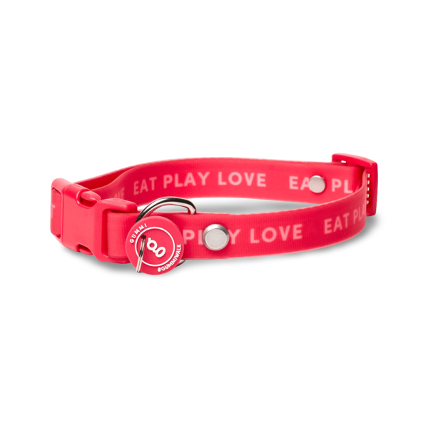 Gummi Slick Silicone Dog Collar in Eat Play Love Red