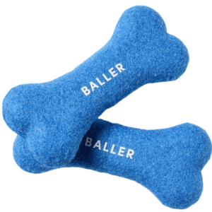 Gummi Tennis Bone 2pk Dog Toy Blue - Large