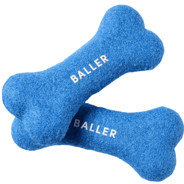 Gummi Tennis Bone 2pk Dog Toy Blue – Large