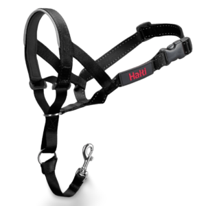 Halti Training Dog Training Head Collar in Black - Size 3