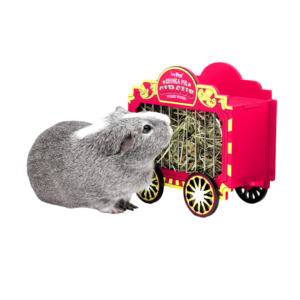 Haypigs Wheek Wagon Hay Hopper - each
