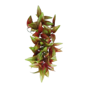 Eco Tech Hanging Radiating Star Plant Decor - One Size