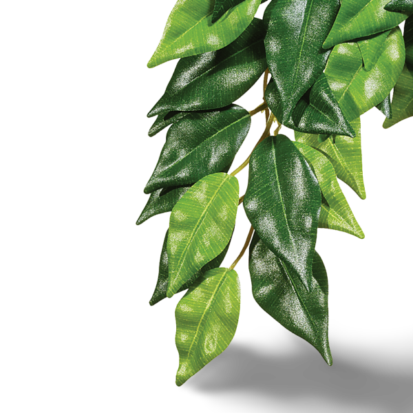 Exo Terra Forest Plant Ficus for Terrariums