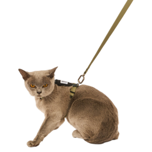 Hi Dream I Shaped Cat Harness & Lead Set in Green - One Size