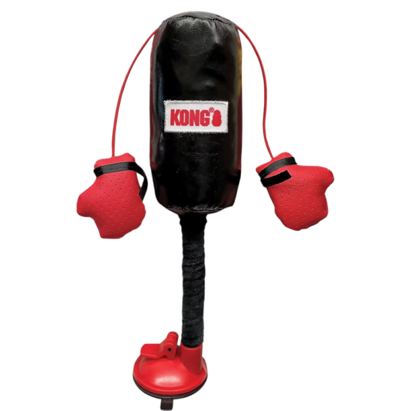 KONG Connects Punching Bag Cat Teaser With Catnip – One Size