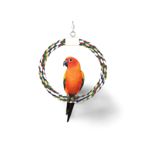 Jw Insight Swing N Perch Ring - Medium