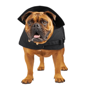 Kazoo Aussie Oilskin Black Dog Coat - X Small