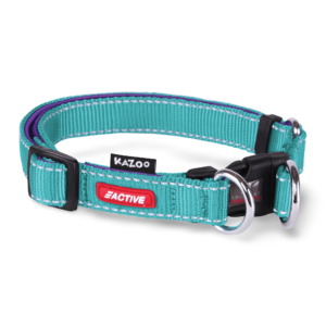 Kazoo Active Adjustable Dog Collar in Aqua - x Large