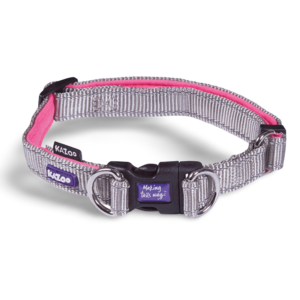 Kazoo Active Dog Collar Silver - x Large