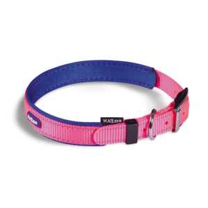 Kazoo Active Adjustable Dog Collar in Bloom Burst - X Large