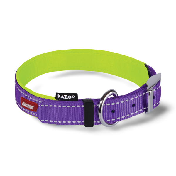 Kazoo Active Dog Collar in Purple and Lime