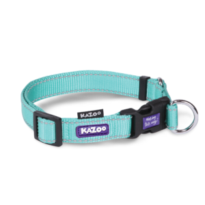 Kazoo Classic Clip Dog Collar in Mint Green - Large