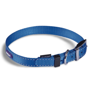 Kazoo Dog Collar Classic in Blue - X Large