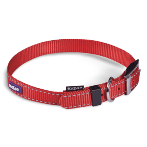 Kazoo Dog Collar Classic in Red - Medium