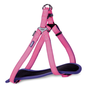 Kazoo Clip Active Dog Harness in Bloom Burst - Medium