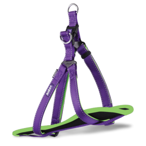Kazoo Clip Active Dog Harness in Purple and Lime - Small