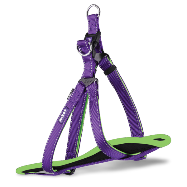 Kazoo Clip Active Dog Harness in Purple and Lime – Small