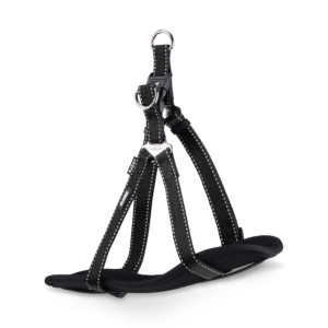 Kazoo Classic Nylon Dog Harness in Black - Medium