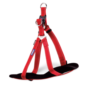 Kazoo Harness Classic Nylon Red - Medium