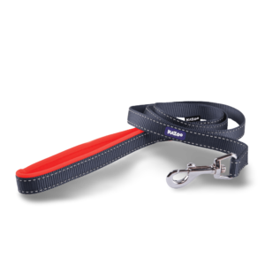 Kazoo Active Dog Lead in Slate Grey - Large