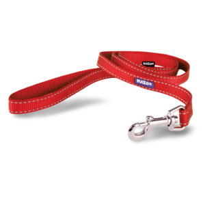 Kazoo Classic Dog Lead in Red - Large
