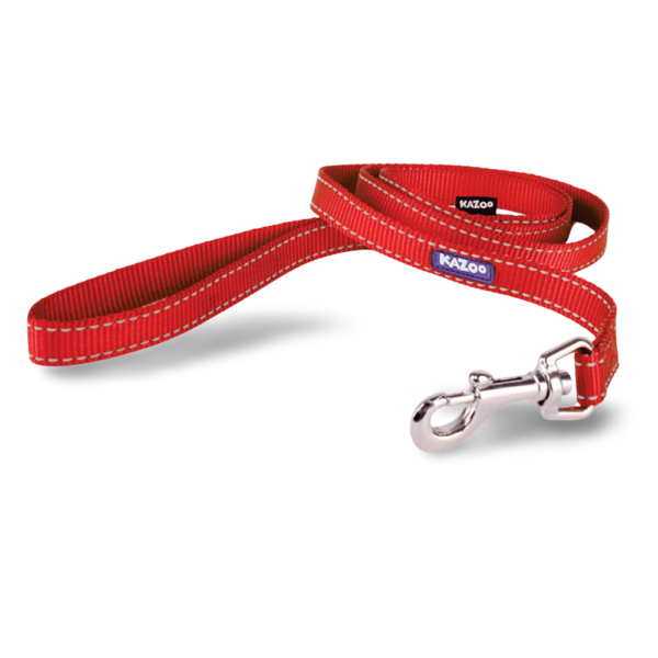 Kazoo Classic Dog Lead in Red