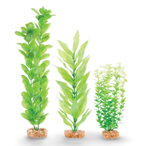 Kazoo Plastic Plant Multipack Two - each