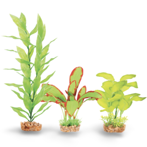Kazoo Silk Plant Multipack Two - each