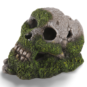 Kazoo Skull With Moss And Air - each