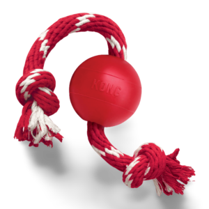 KONG Ball with Rope Fetch Dog Toy - Small