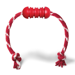 KONG Dental Chew Dog Toy with Rope - Medium