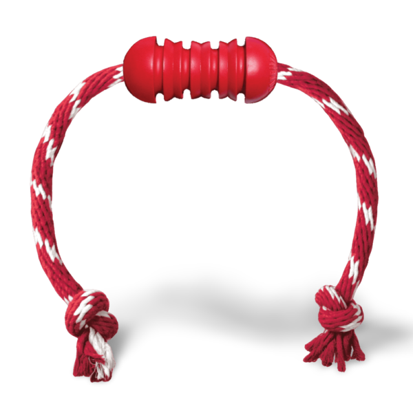 KONG Dental Chew Dog Toy with Rope