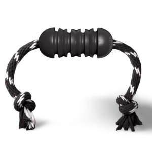 KONG Extreme Dental with Rope Chew Dog Toy - Medium