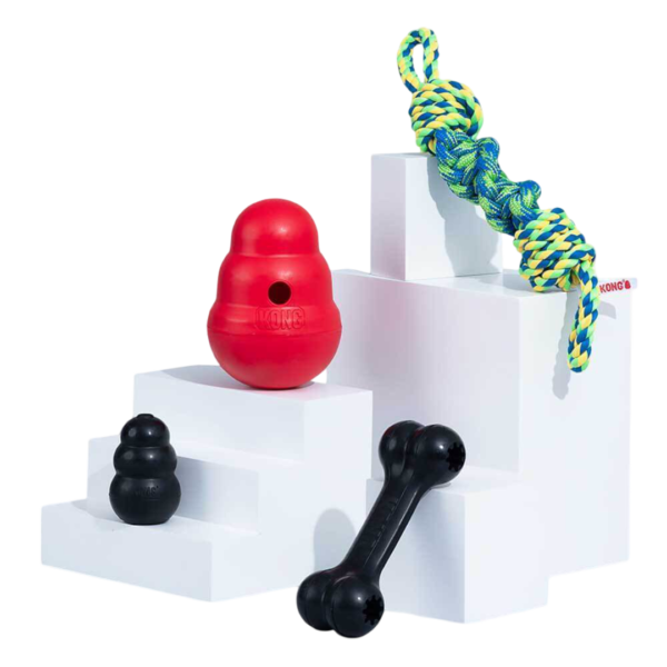 Better Bundles KONG Small Dog Bundle – One Size