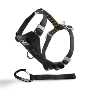 Kurgo Enhanced Strength Tru Fit Seatbelt Dog Harness Black - Small