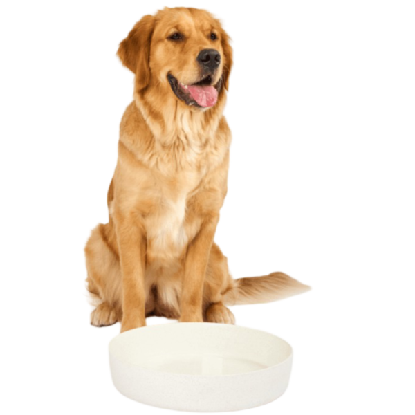 Lilly And Dash Dog Outdoor Water Bowl Milk Speckle – 7L