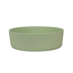 Lilly And Dash Pet Bowl Dog Mint Feeding Bowl - Small