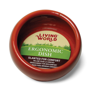 Living World Ceramic Ergonomic Pet Dish Terracotta - Large