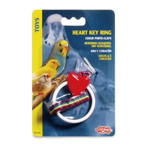Living World Plastic Keys - each