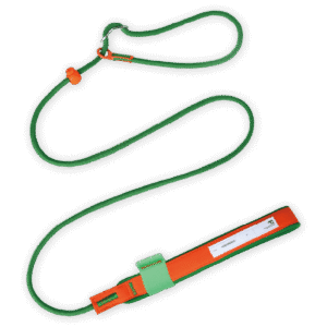 Maogou Blue Slip Dog Lead in Sea Green - One Size